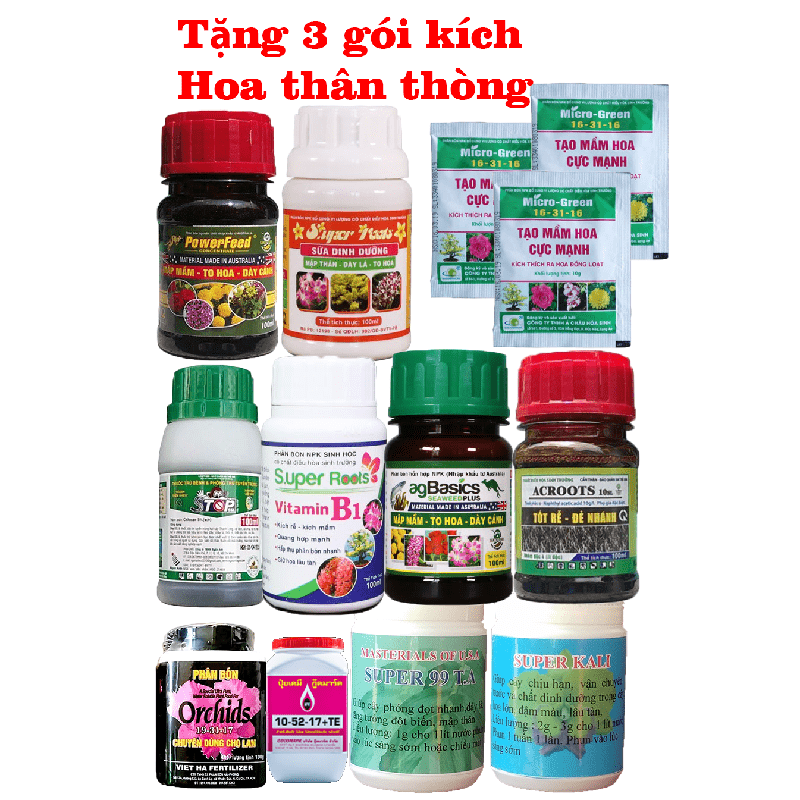 kich hoá